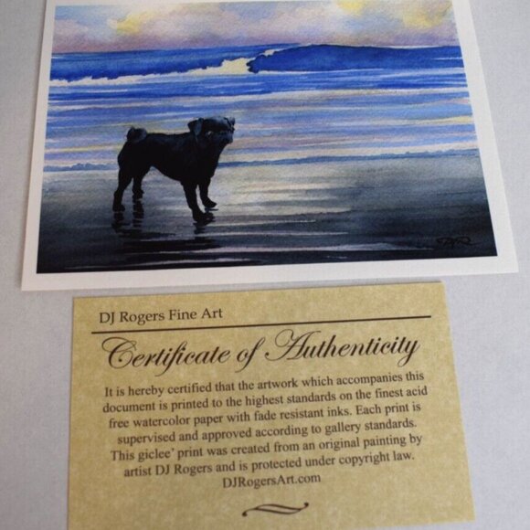 Black Pug On Beach David J Rogers Fine Art Gallery Print COA 5.5"x7.5"! - Picture 2 of 4